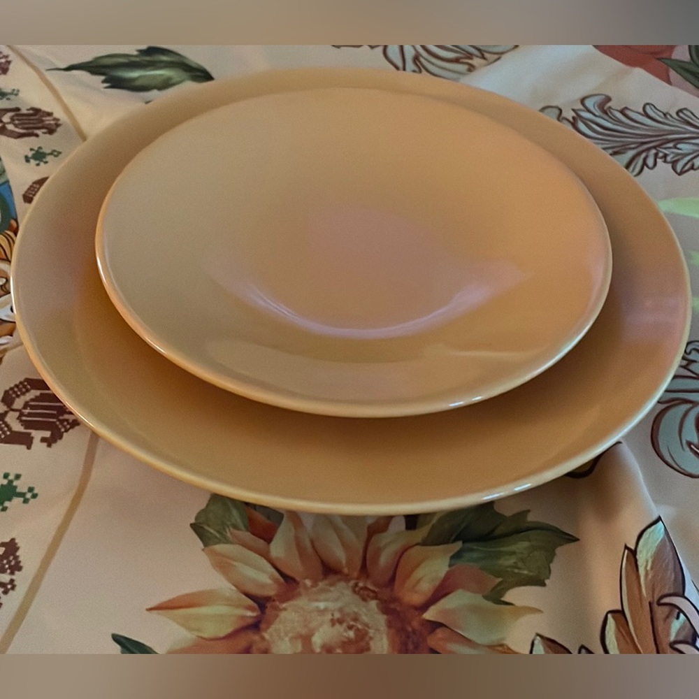 Used Plate n Saucer